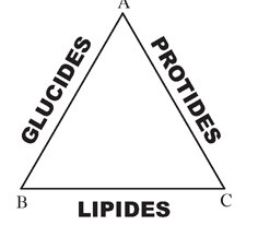 Pages-de-05-Drouin-4